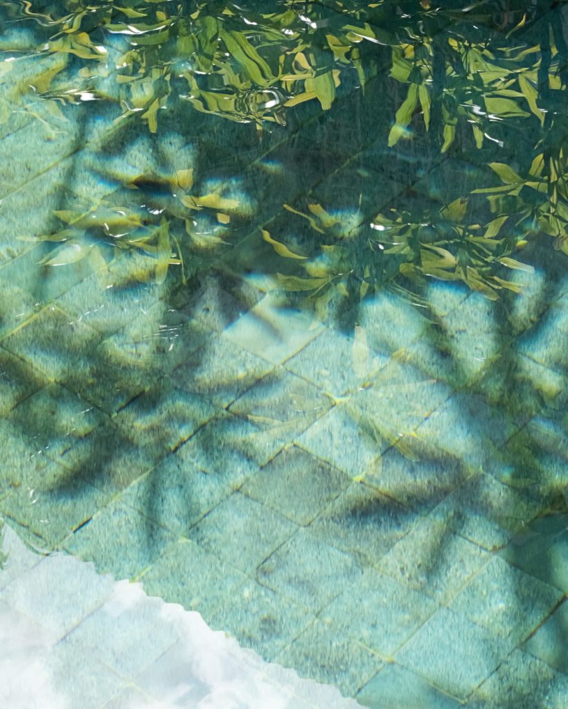Tropical leaves shadow on the surface of swimming pool.