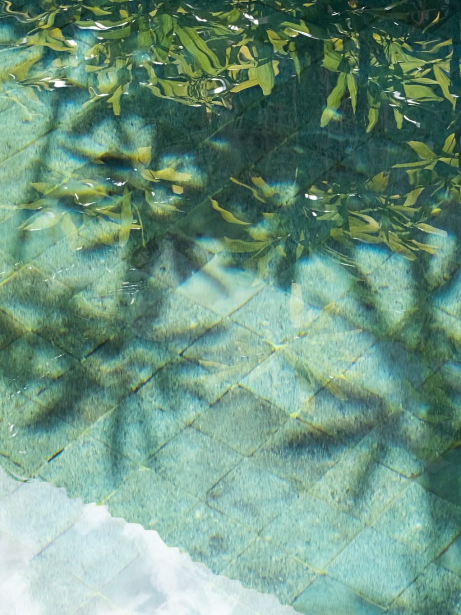 Tropical leaves shadow on the surface of swimming pool.